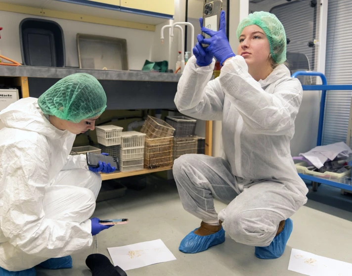 Students photograph and examine evidence on the lab floor during a hands-on forensic science class. Students photograph and examine evidence on the lab floor during a hands-on forensic science class.